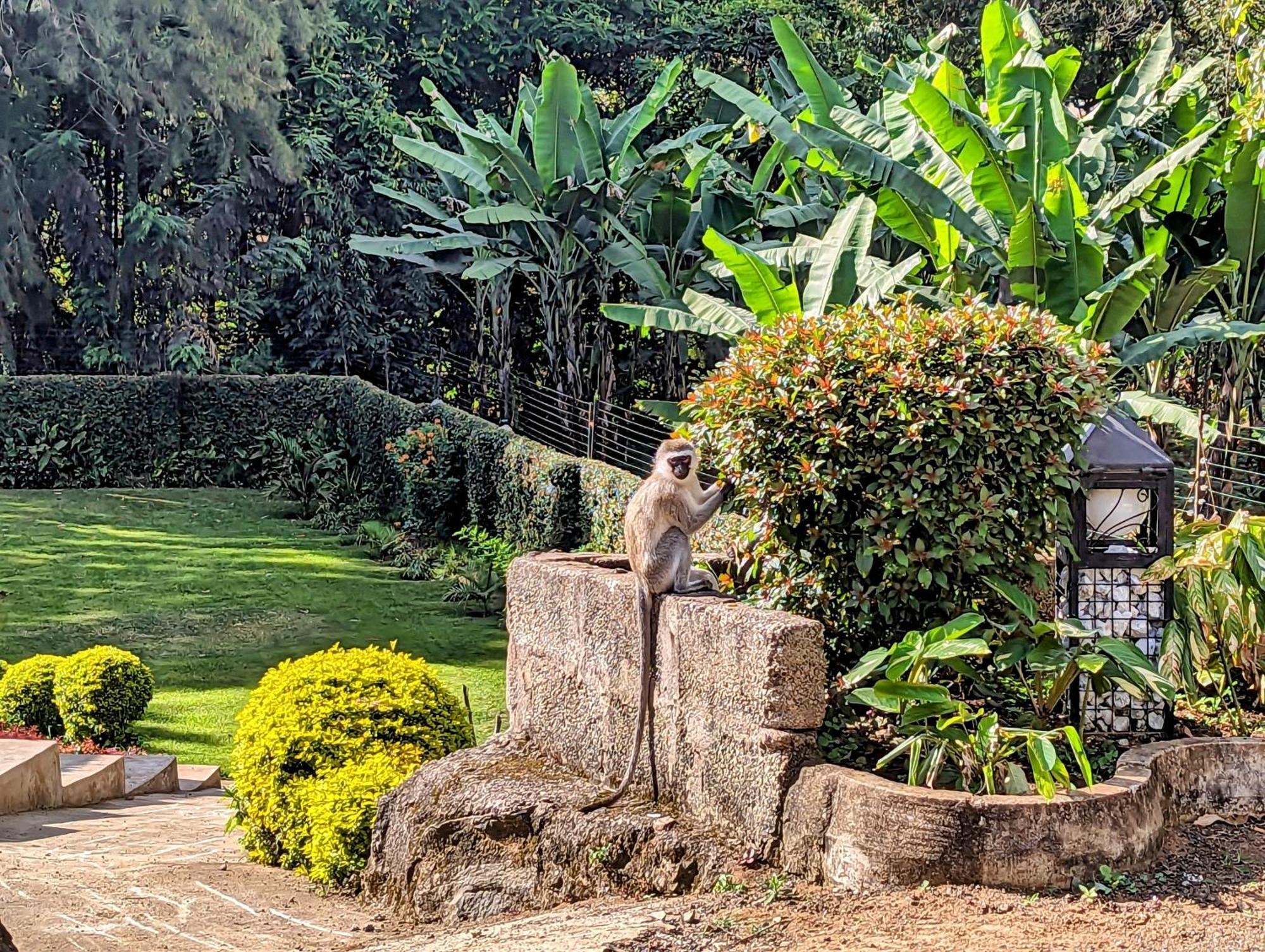 Mvuli Hotels Arusha Exterior foto